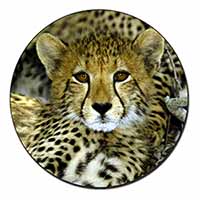 Baby Cheetah Fridge Magnet Printed Full Colour