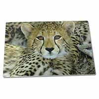 Large Glass Cutting Chopping Board Baby Cheetah