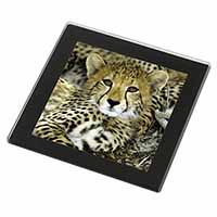 Baby Cheetah Black Rim High Quality Glass Coaster