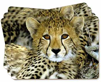 Baby Cheetah Picture Placemats in Gift Box
