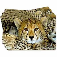 Baby Cheetah 