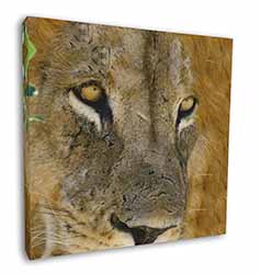 Lions Face Square Canvas 12"x12" Wall Art Picture Print