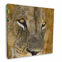 Lions Face Square Canvas 12"x12" Wall Art Picture Print