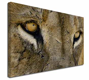 Lions Face Canvas X-Large 30"x20" Wall Art Print