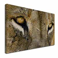 Lions Face Canvas X-Large 30"x20" Wall Art Print