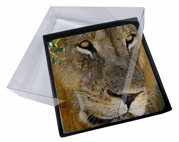 4x Lions Face Picture Table Coasters Set in Gift Box