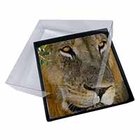 4x Lions Face Picture Table Coasters Set in Gift Box