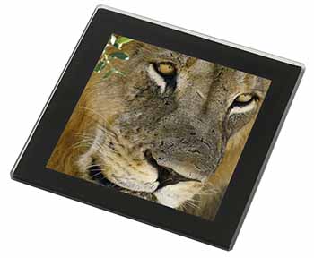 Lions Face Black Rim High Quality Glass Coaster