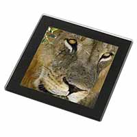 Lions Face Black Rim High Quality Glass Coaster