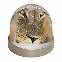 Lions Face Snow Globe Photo Waterball