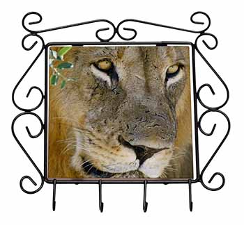 Lions Face Wrought Iron Key Holder Hooks