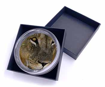 Lions Face Glass Paperweight in Gift Box