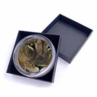 Lions Face Glass Paperweight in Gift Box