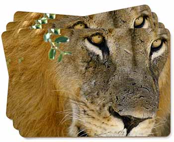 Lions Face Picture Placemats in Gift Box