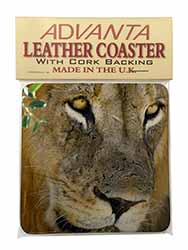 Lions Face Single Leather Photo Coaster