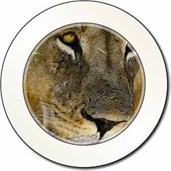 Lions Face Car or Van Permit Holder/Tax Disc Holder