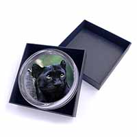 Black Panther Glass Paperweight in Gift Box