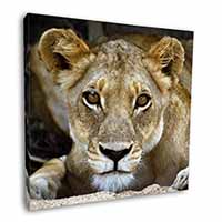 Lioness Square Canvas 12"x12" Wall Art Picture Print