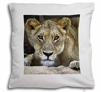 Lioness Soft White Velvet Feel Scatter Cushion
