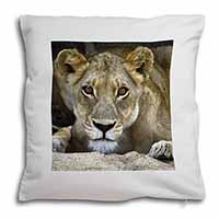 Lioness Soft White Velvet Feel Scatter Cushion