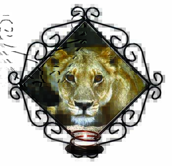 Lioness Wrought Iron Wall Art Candle Holder