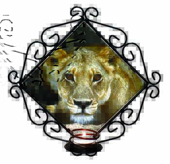 Lioness Wrought Iron Wall Art Candle Holder