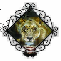 Lioness Wrought Iron Wall Art Candle Holder