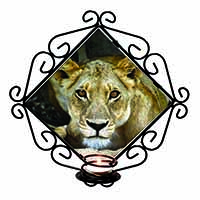 Lioness Wrought Iron Wall Art Candle Holder