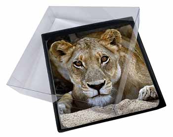 4x Lioness Picture Table Coasters Set in Gift Box