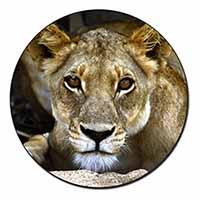 Lioness Fridge Magnet Printed Full Colour