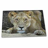 Large Glass Cutting Chopping Board Lioness