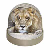Lioness Snow Globe Photo Waterball