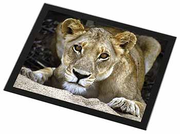 Lioness Black Rim High Quality Glass Placemat