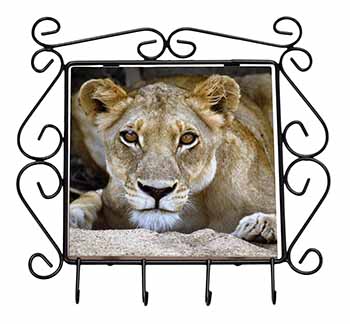 Lioness Wrought Iron Key Holder Hooks