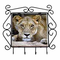 Lioness Wrought Iron Key Holder Hooks