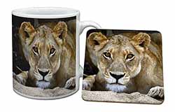 Lioness Mug and Coaster Set