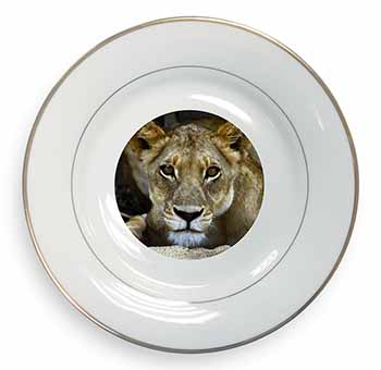 Lioness Gold Rim Plate Printed Full Colour in Gift Box