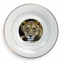 Lioness Gold Rim Plate Printed Full Colour in Gift Box
