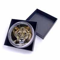 Lioness Glass Paperweight in Gift Box