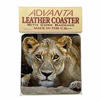 Lioness Single Leather Photo Coaster