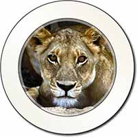 Lioness Car or Van Permit Holder/Tax Disc Holder