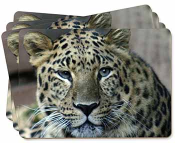 Leopard Picture Placemats in Gift Box