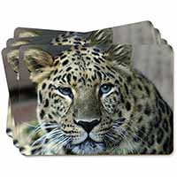 Leopard Picture Placemats in Gift Box - Advanta Group®