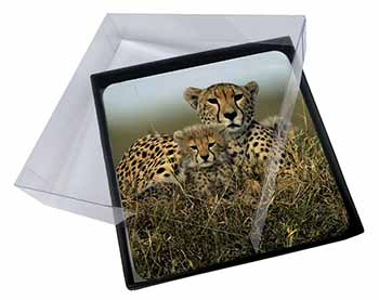 4x Cheetah and Cubs Picture Table Coasters Set in Gift Box