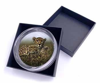 Cheetah and Cubs Glass Paperweight in Gift Box