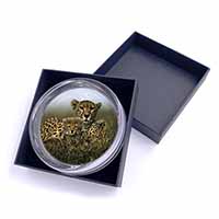 Cheetah and Cubs Glass Paperweight in Gift Box