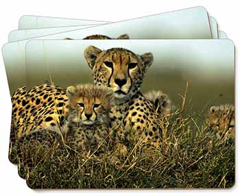 Cheetah and Cubs Picture Placemats in Gift Box