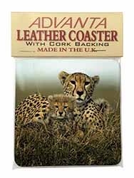 Cheetah and Cubs Single Leather Photo Coaster