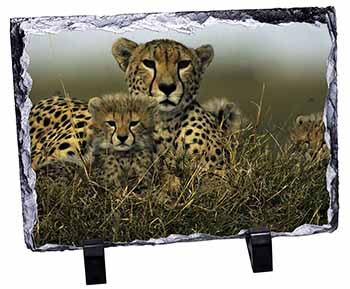 Cheetah and Cubs, Stunning Photo Slate