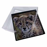 4x Cheetah Picture Table Coasters Set in Gift Box